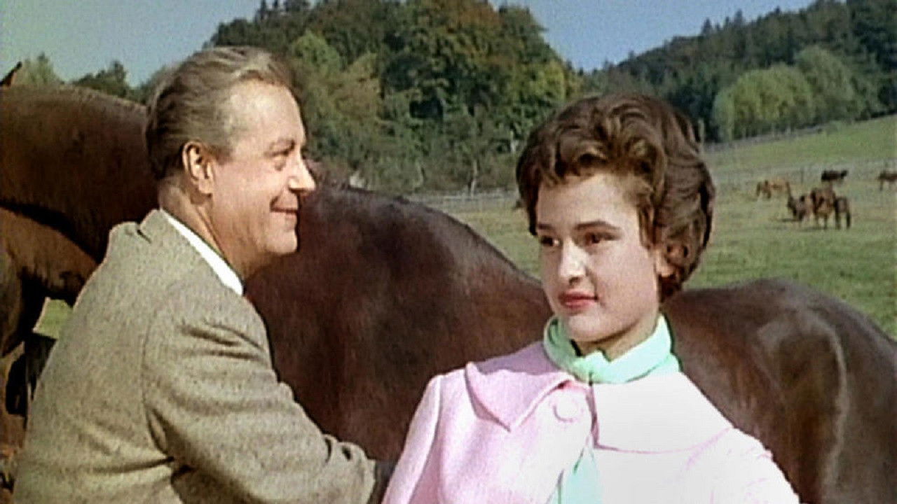 Backdrop for Hubertusjagd