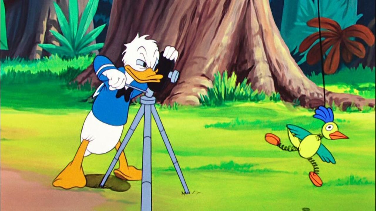 Backdrop for Clown of the Jungle