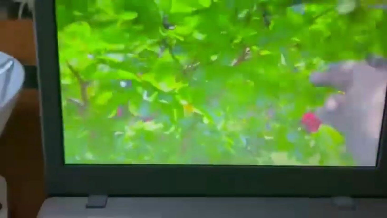 Backdrop for In a Violent Suburbs