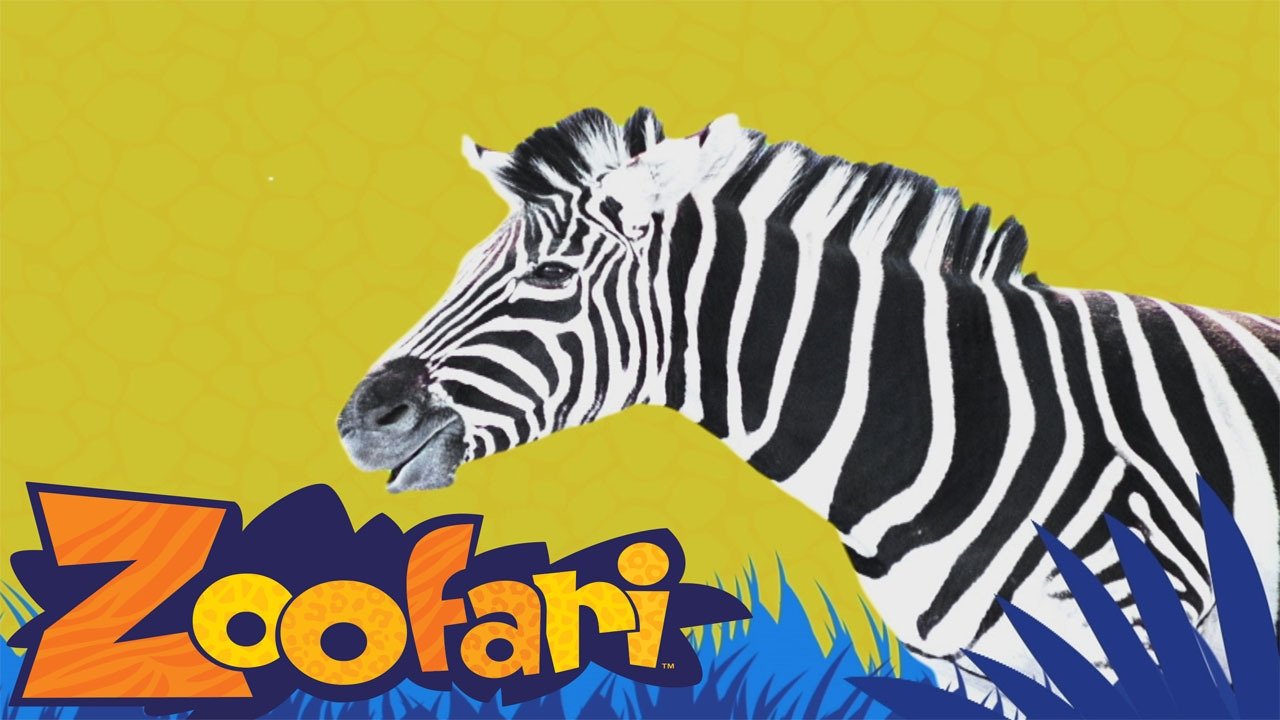 Backdrop for Zoofari