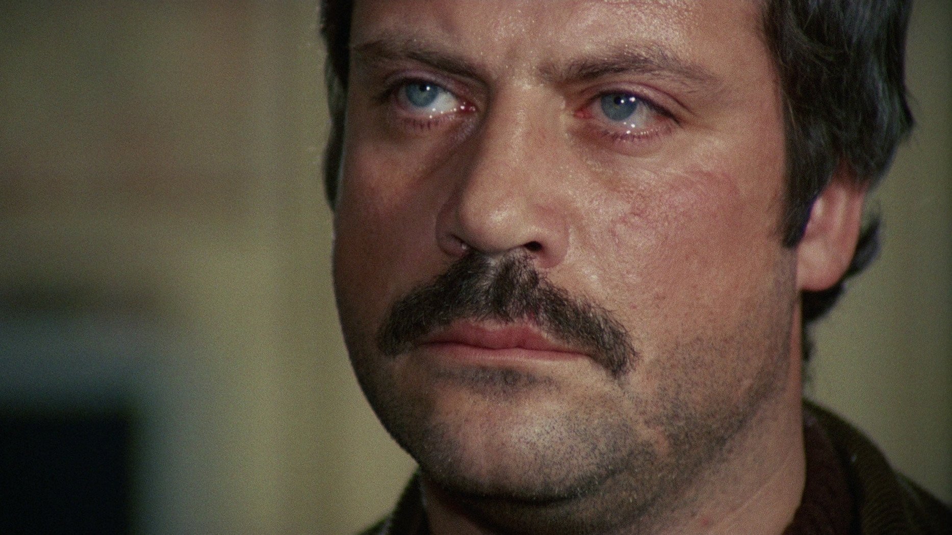 Backdrop for Revolver