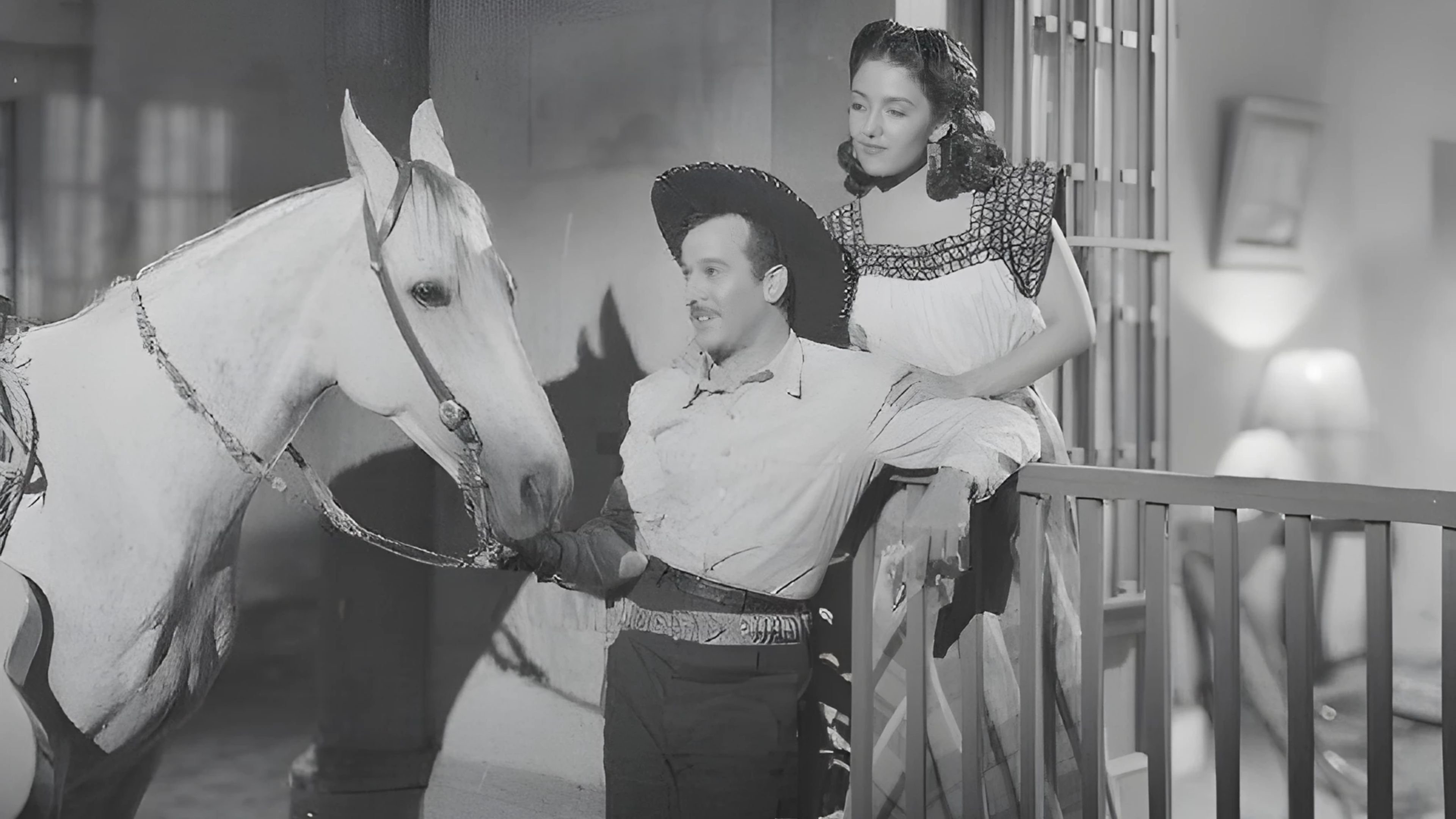 Backdrop for The Black Sheep