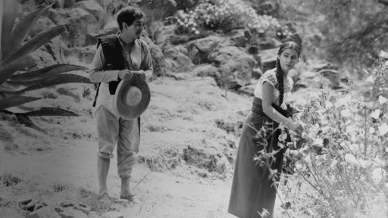 Backdrop for La Mujer Que Yo Perdí