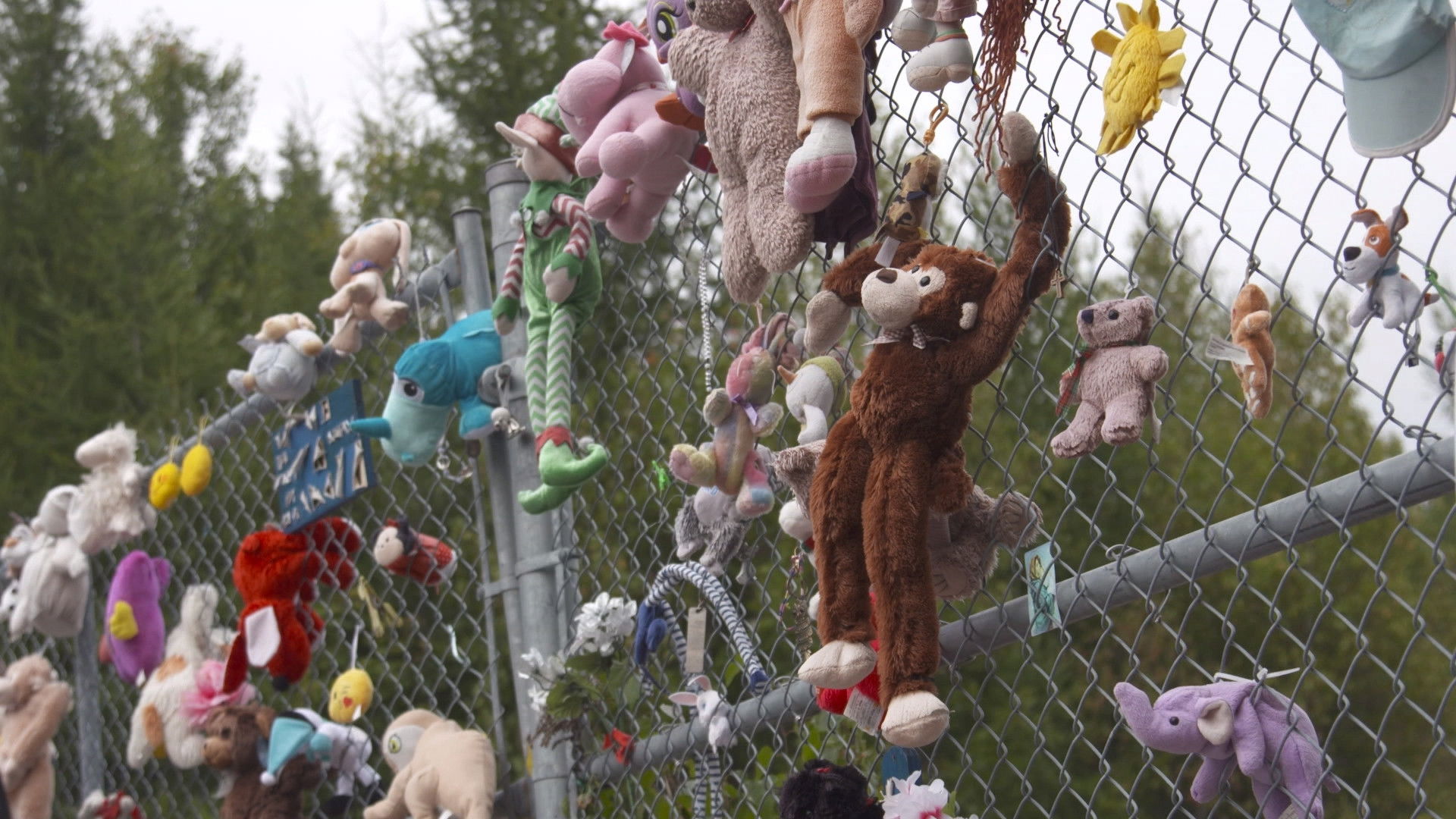 Backdrop for L’Affaire Cédrika, selon Claude Poirier