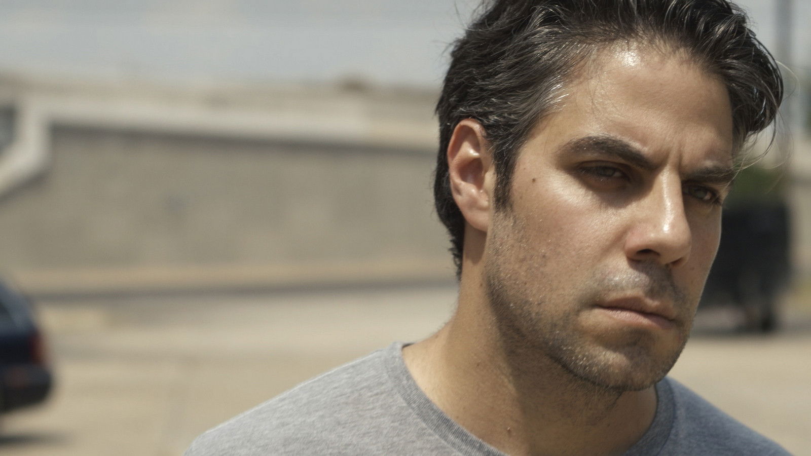 Backdrop for Pet Friendly