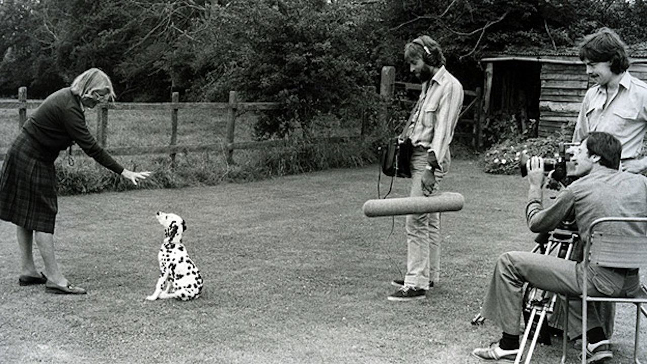 Backdrop for Training Dogs the Woodhouse Way