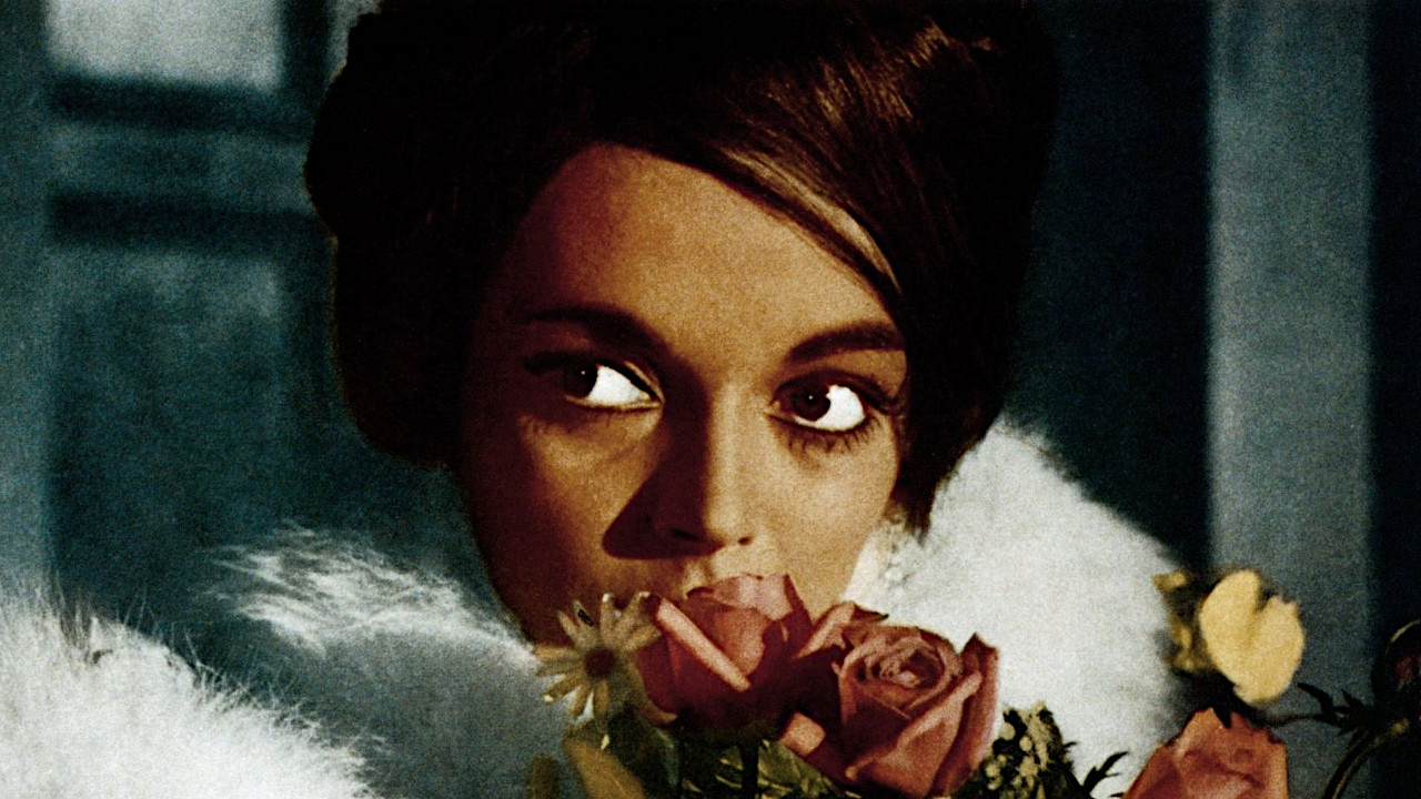 Backdrop for The Ghost