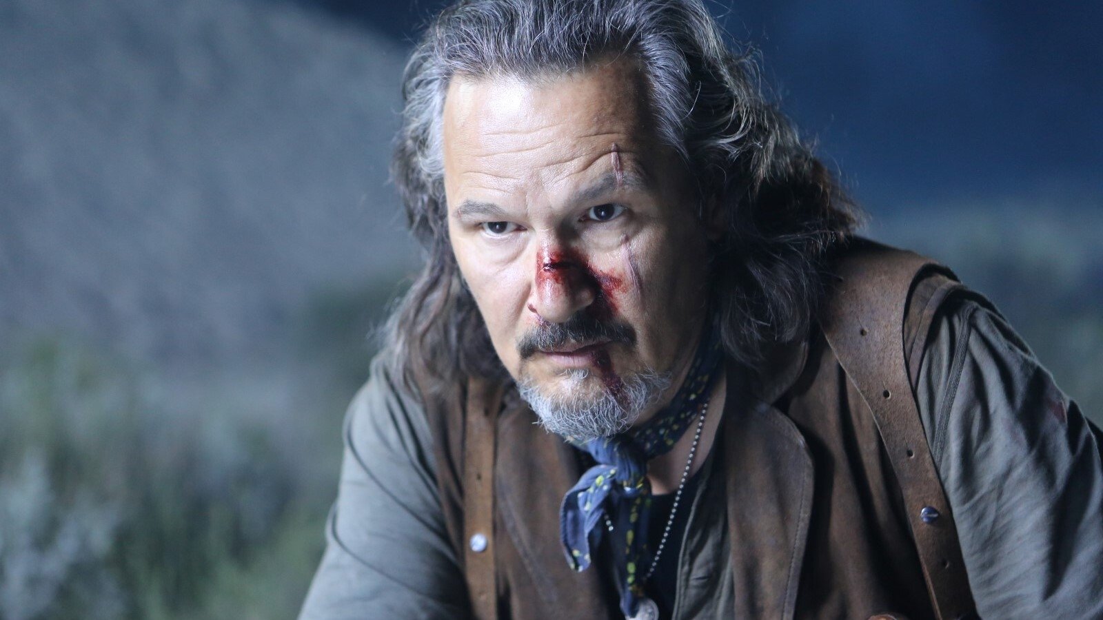 Backdrop for The Stakelander