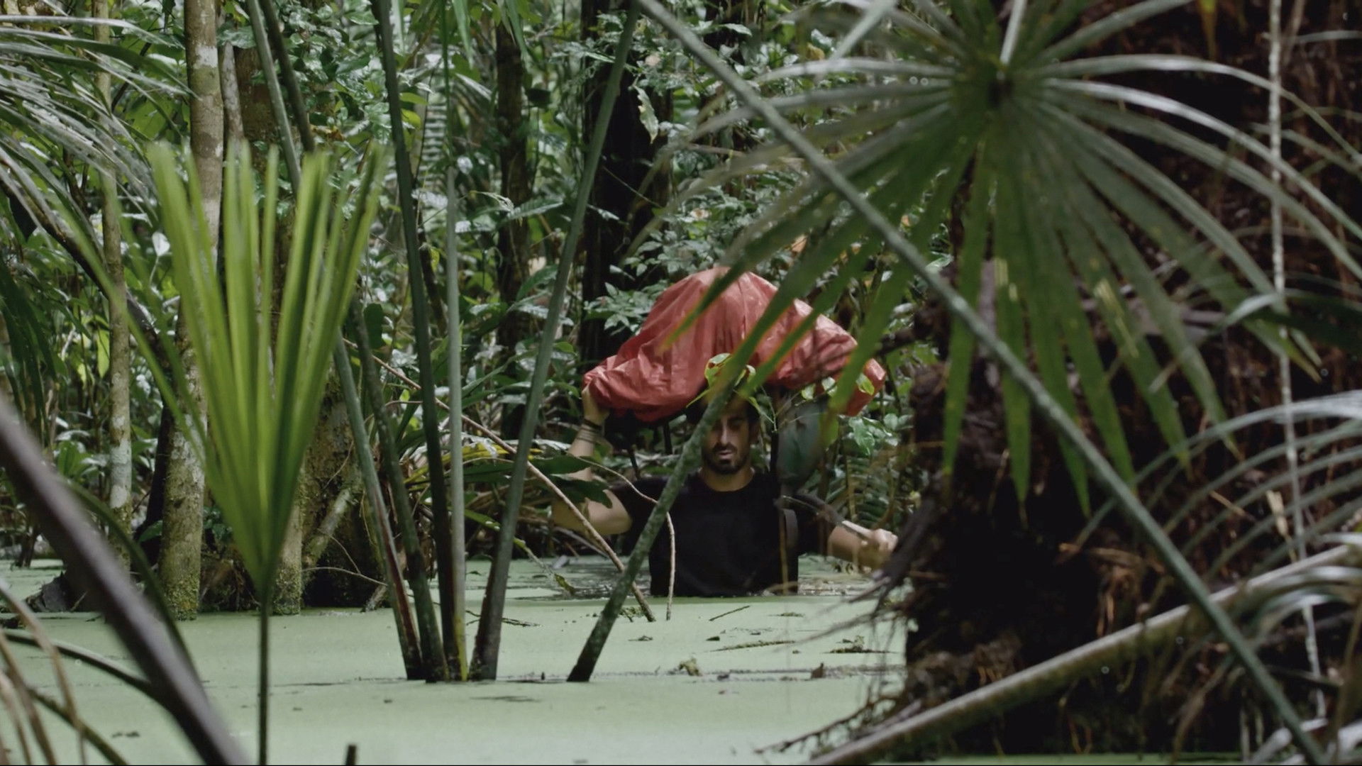 Backdrop for Dark Green