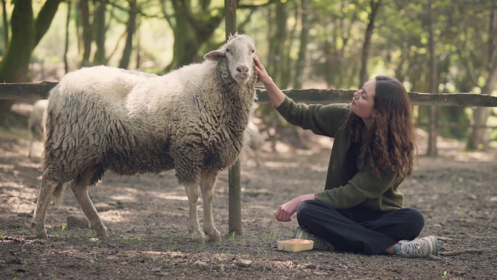 Backdrop for Carne: The Unsustainable Footprint
