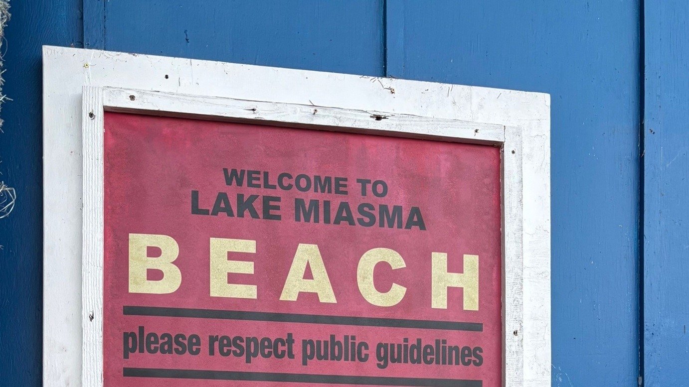 Backdrop for Teenage Sex and Death at Camp Miasma