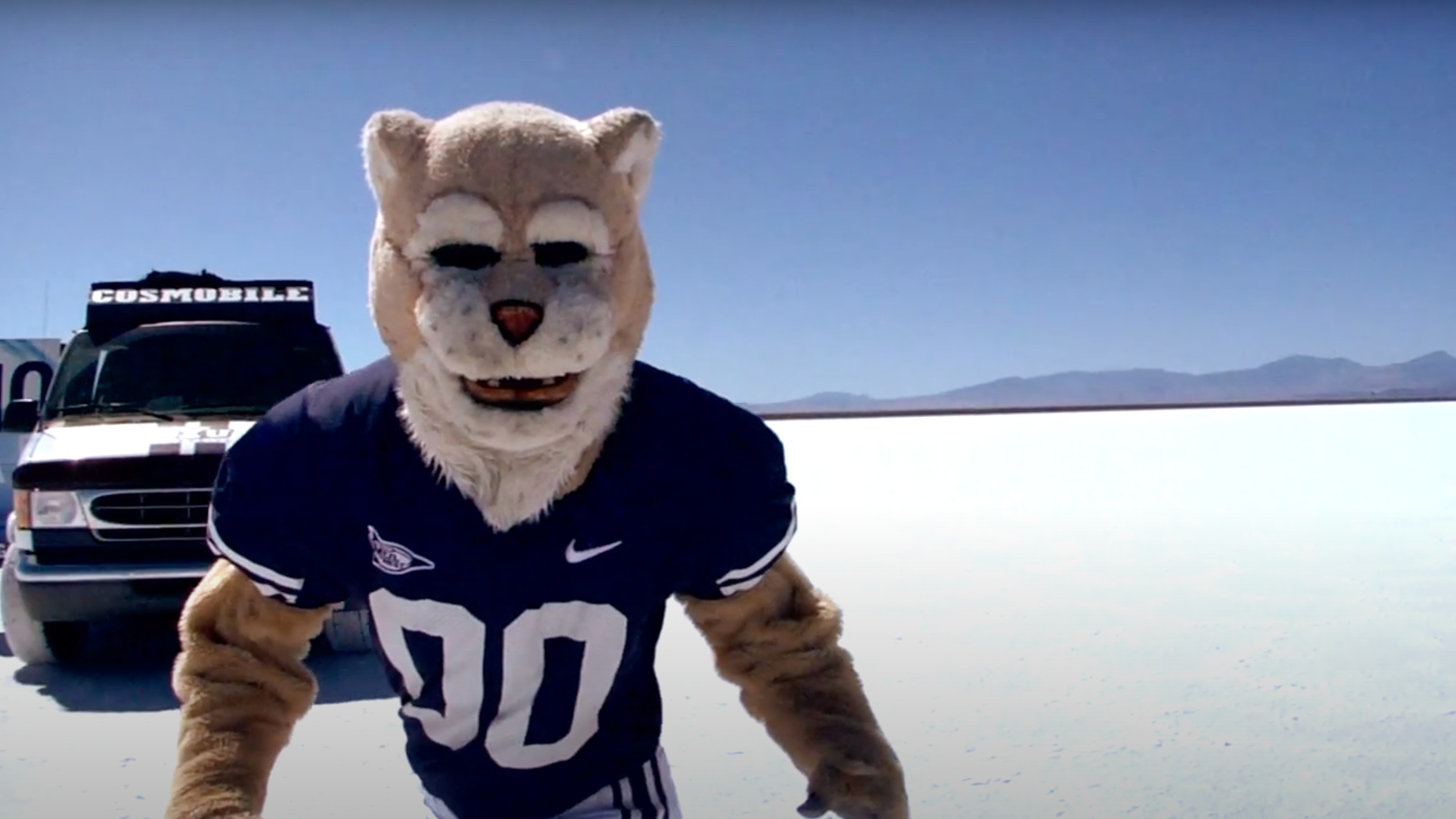 Backdrop for Cosmo: Reloaded