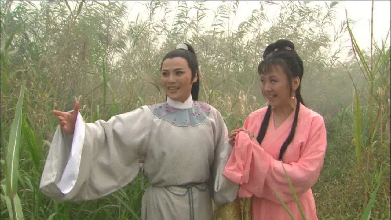 Backdrop for 何文秀传奇