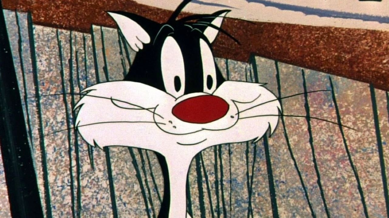 Backdrop for Birds Anonymous