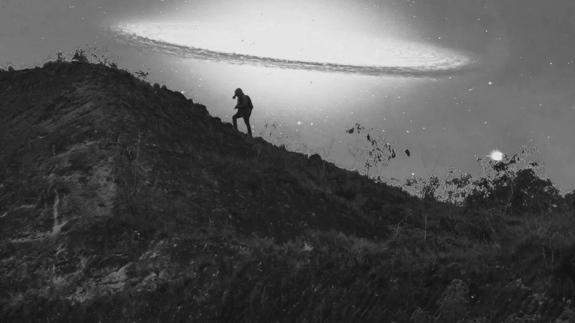 Backdrop for Terrarium of the Sleepless