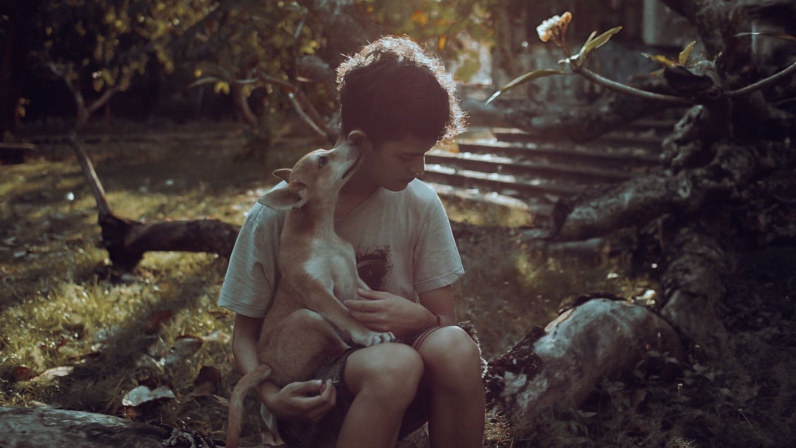 Backdrop for The Gospel of the Beast