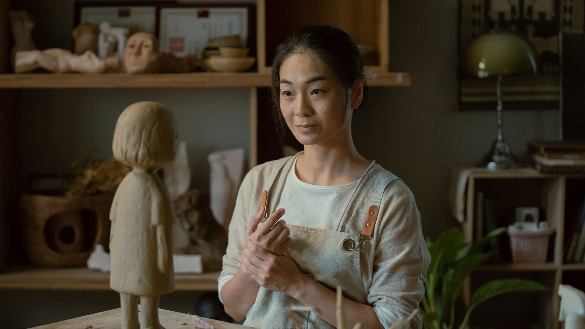 Backdrop for Stills Moving