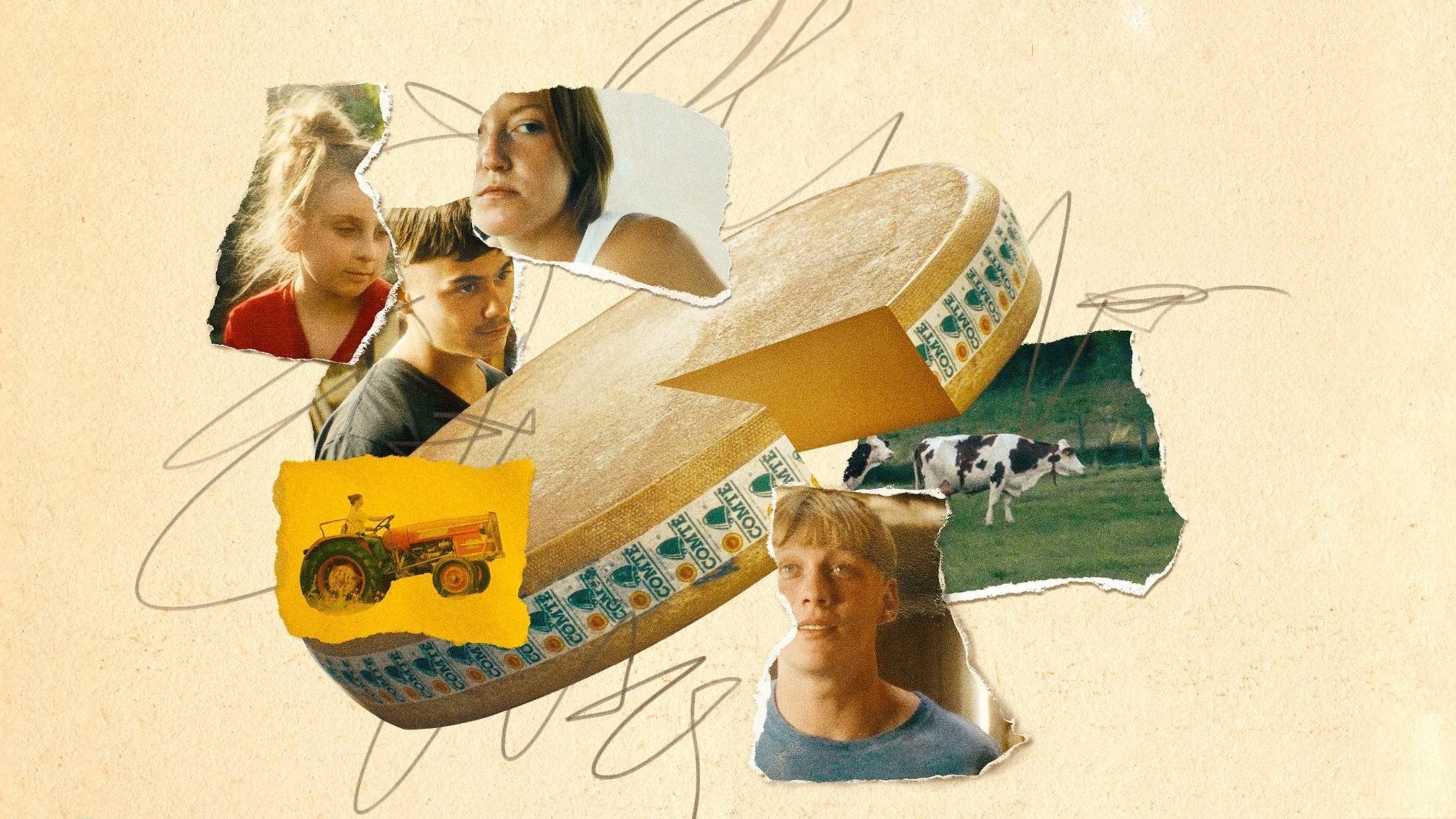 Backdrop for Holy Cow