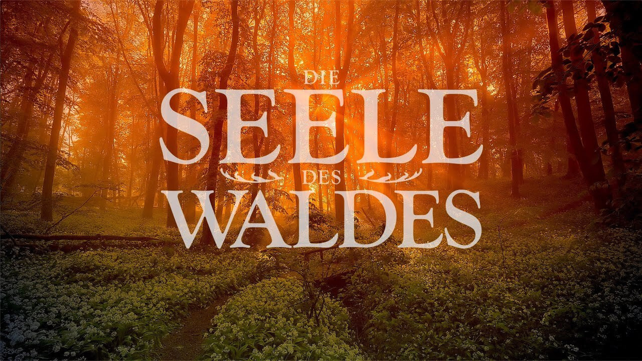 Backdrop for Die Seele des Waldes