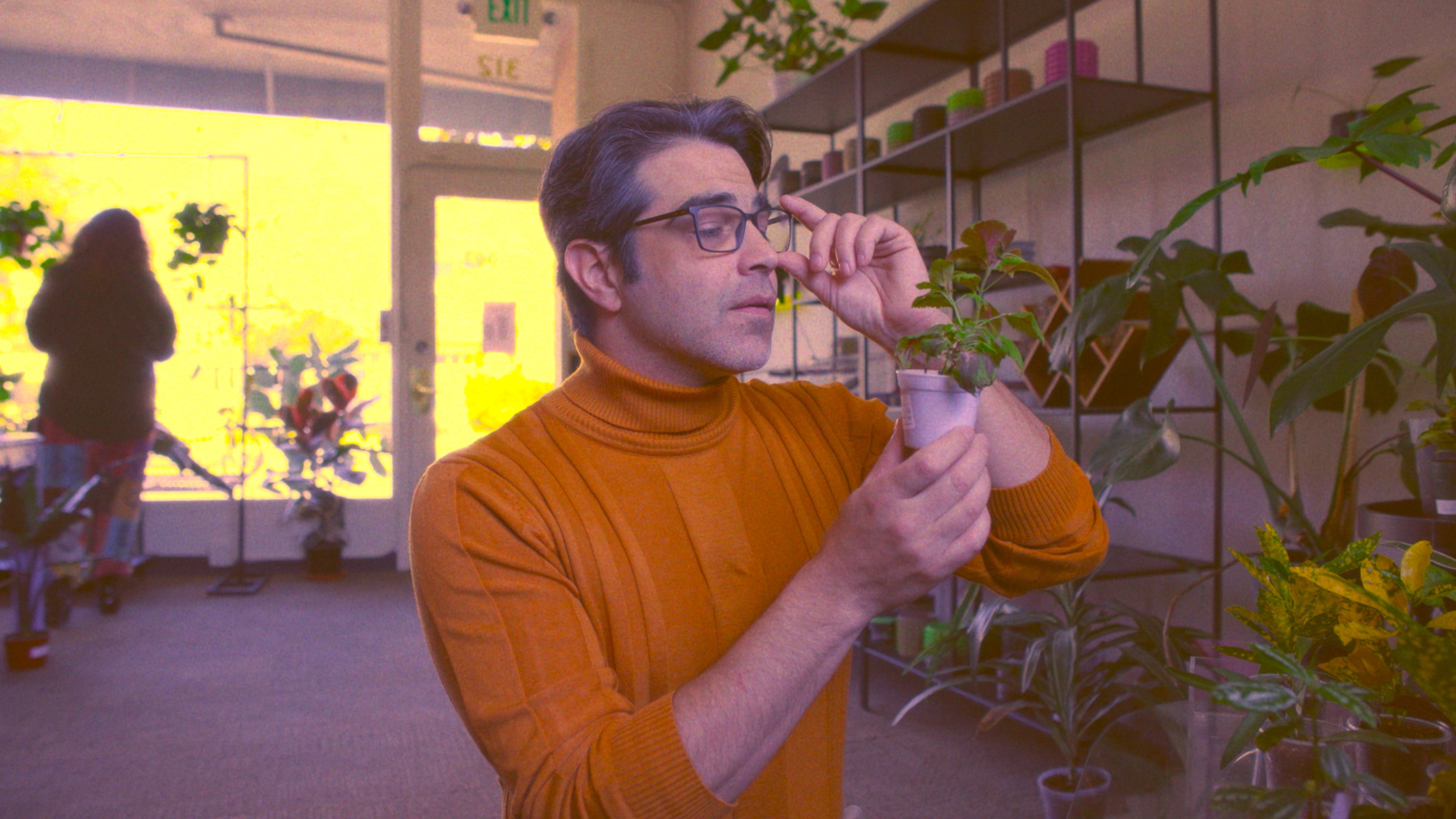 Backdrop for Plant Dad