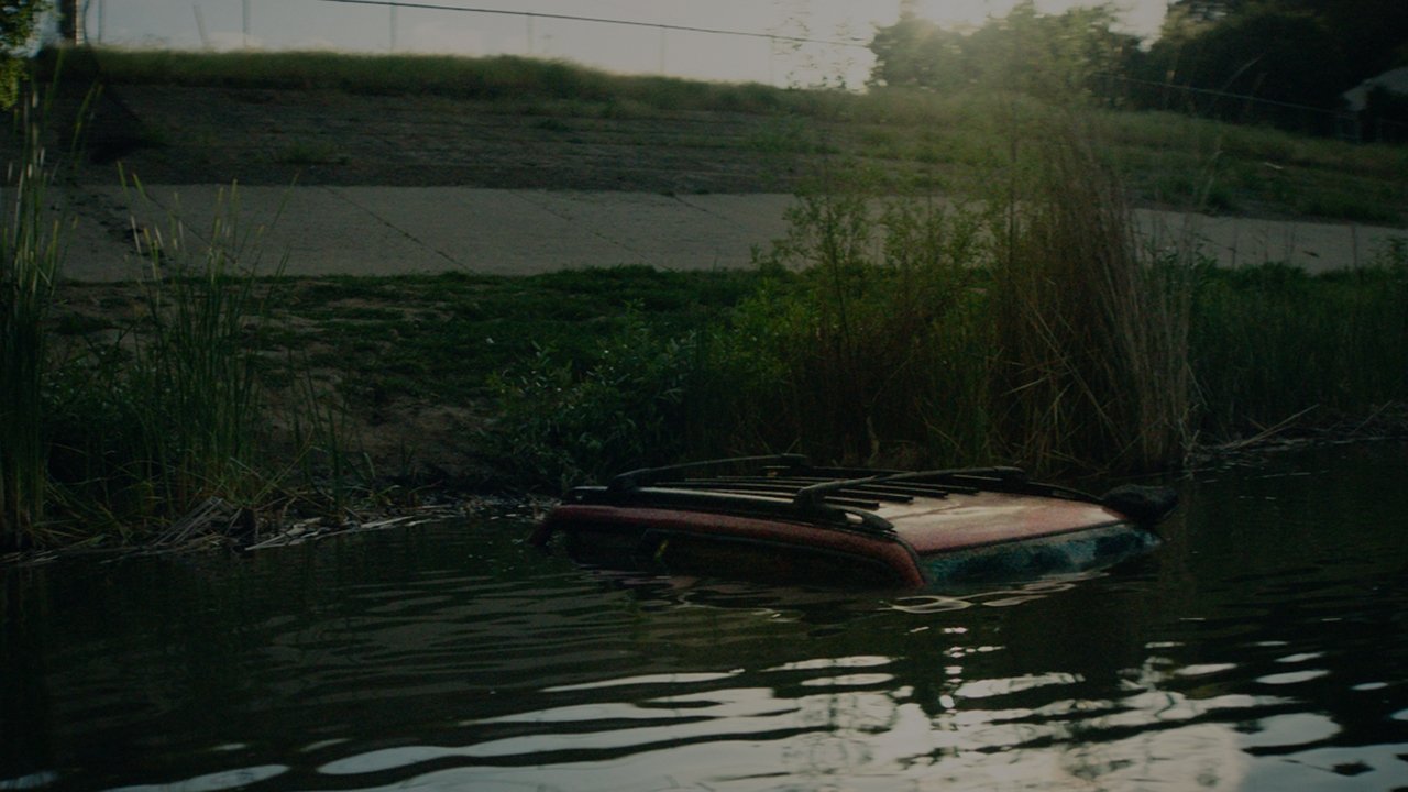 Backdrop for My True Fairytale