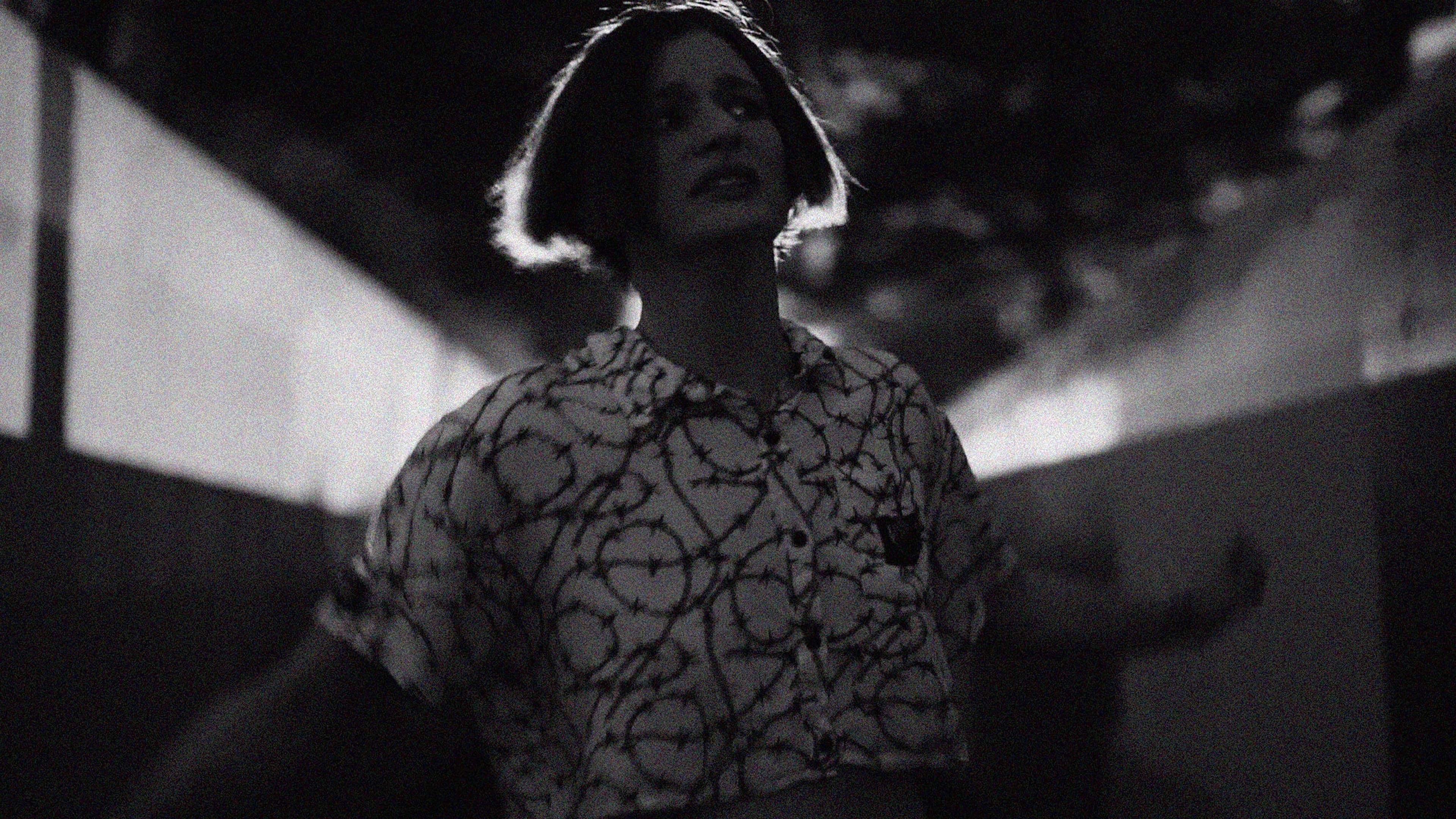 Backdrop for The Summer We Died