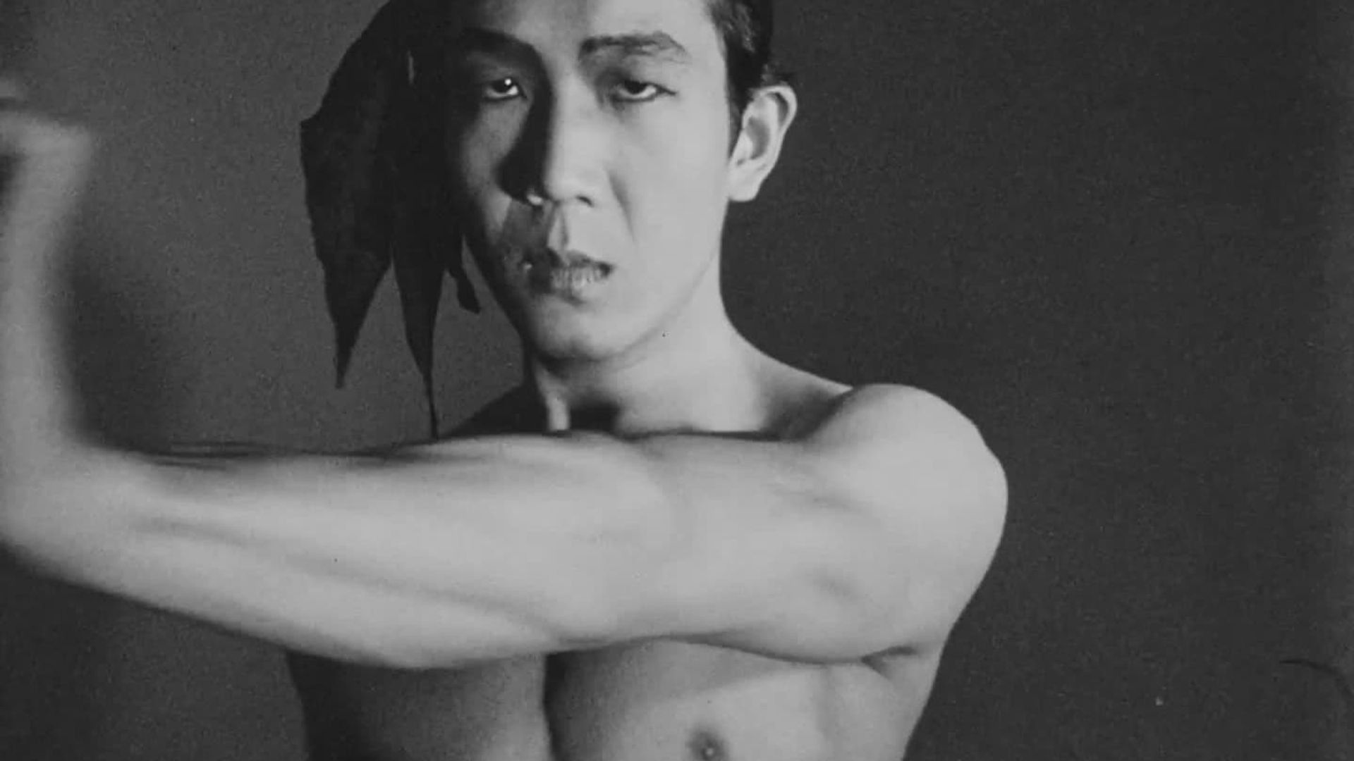 Backdrop for Meditation on Violence