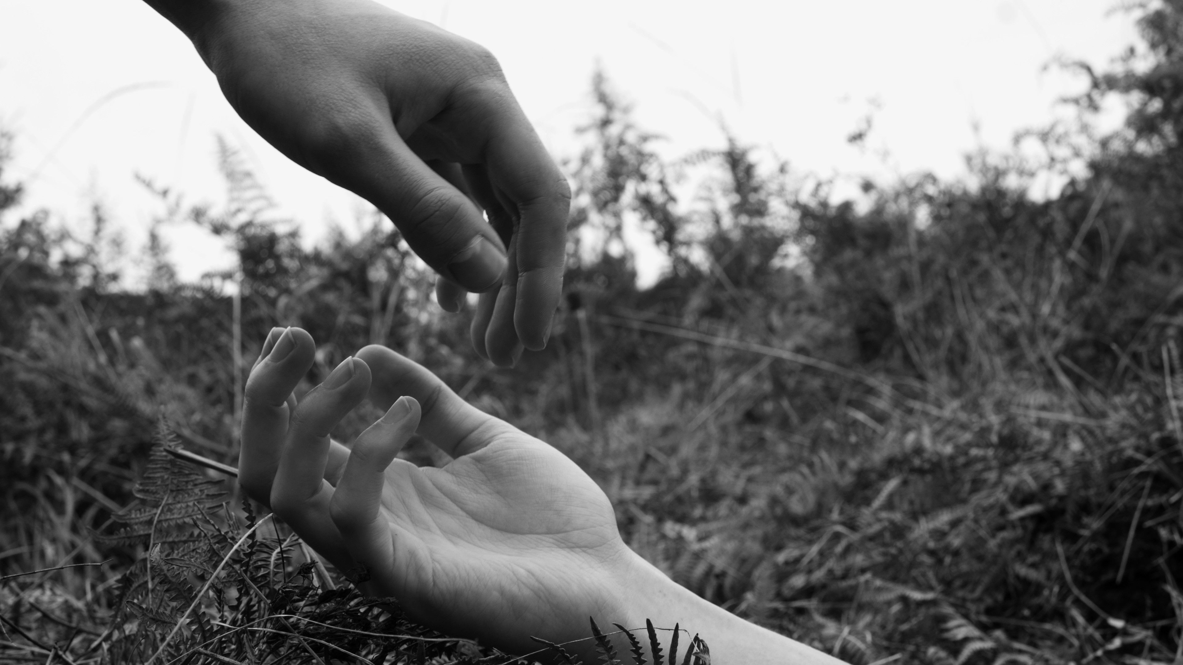 Backdrop for Three Months