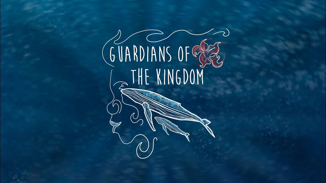 Backdrop for Guardians of the Kingdom