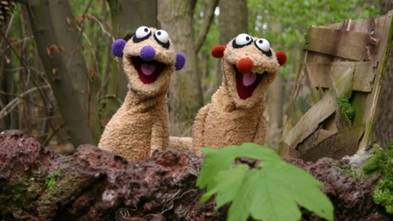 Backdrop for Jan & Henry