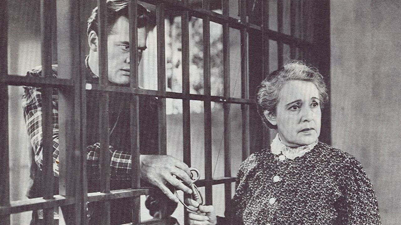 Backdrop for The Medico of Painted Springs