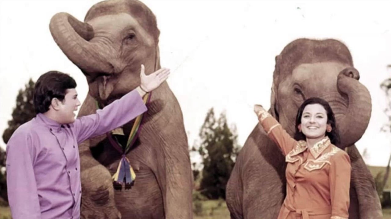 Backdrop for Haathi Mere Saathi