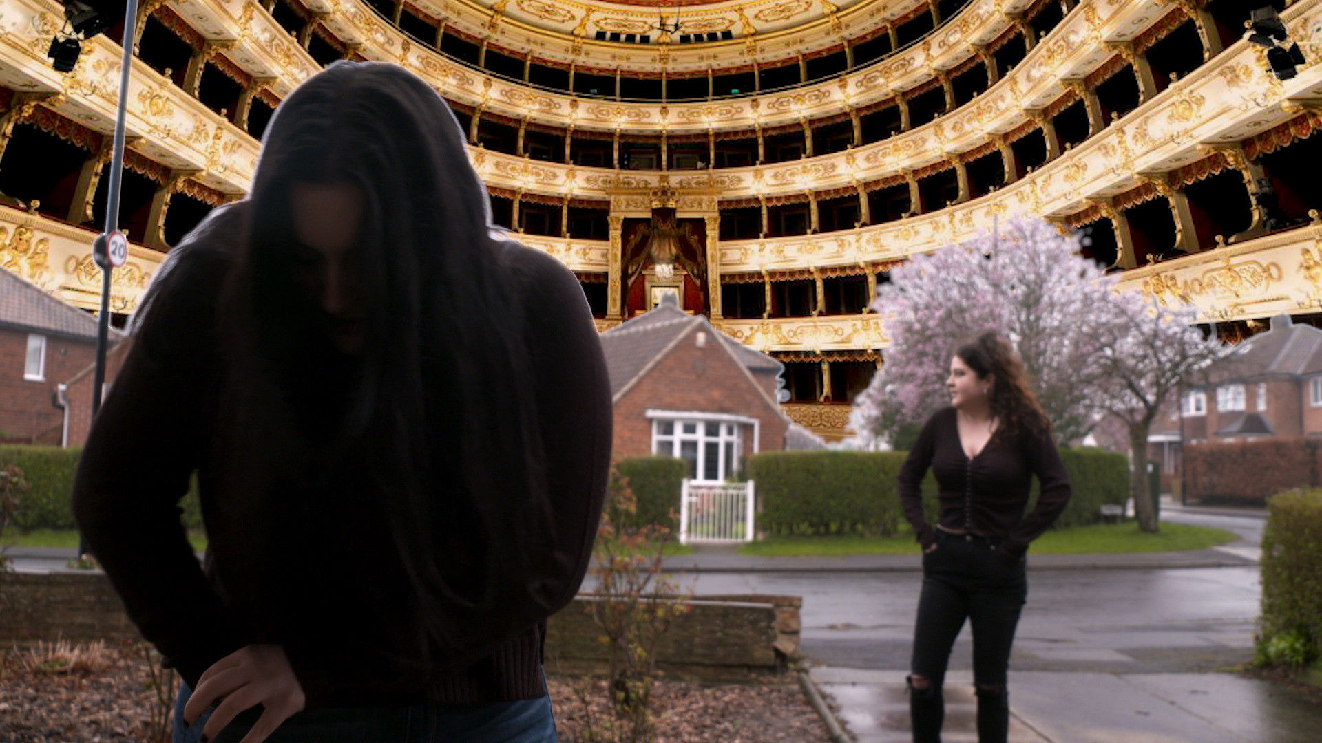 Backdrop for Suspicious Sounds of a Reclusive Housemate