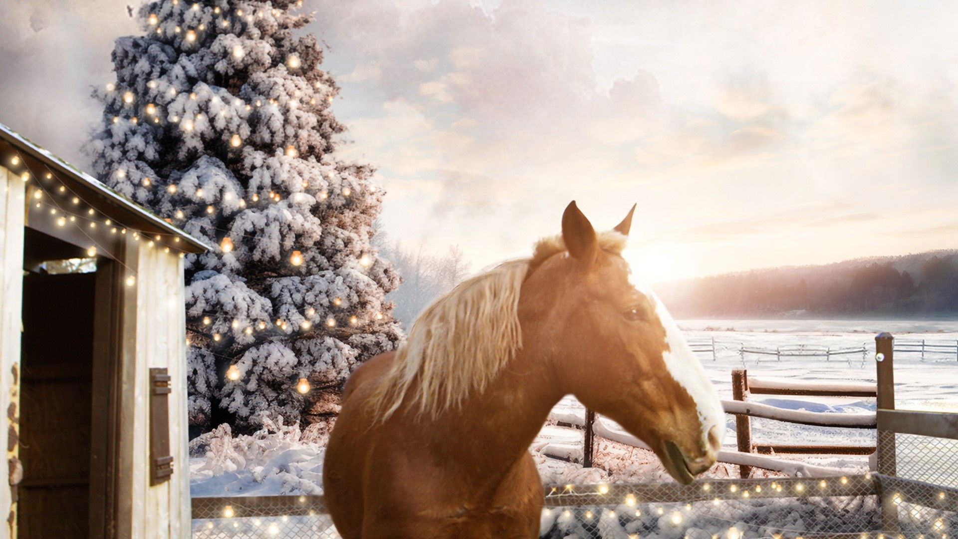Backdrop for December Horses