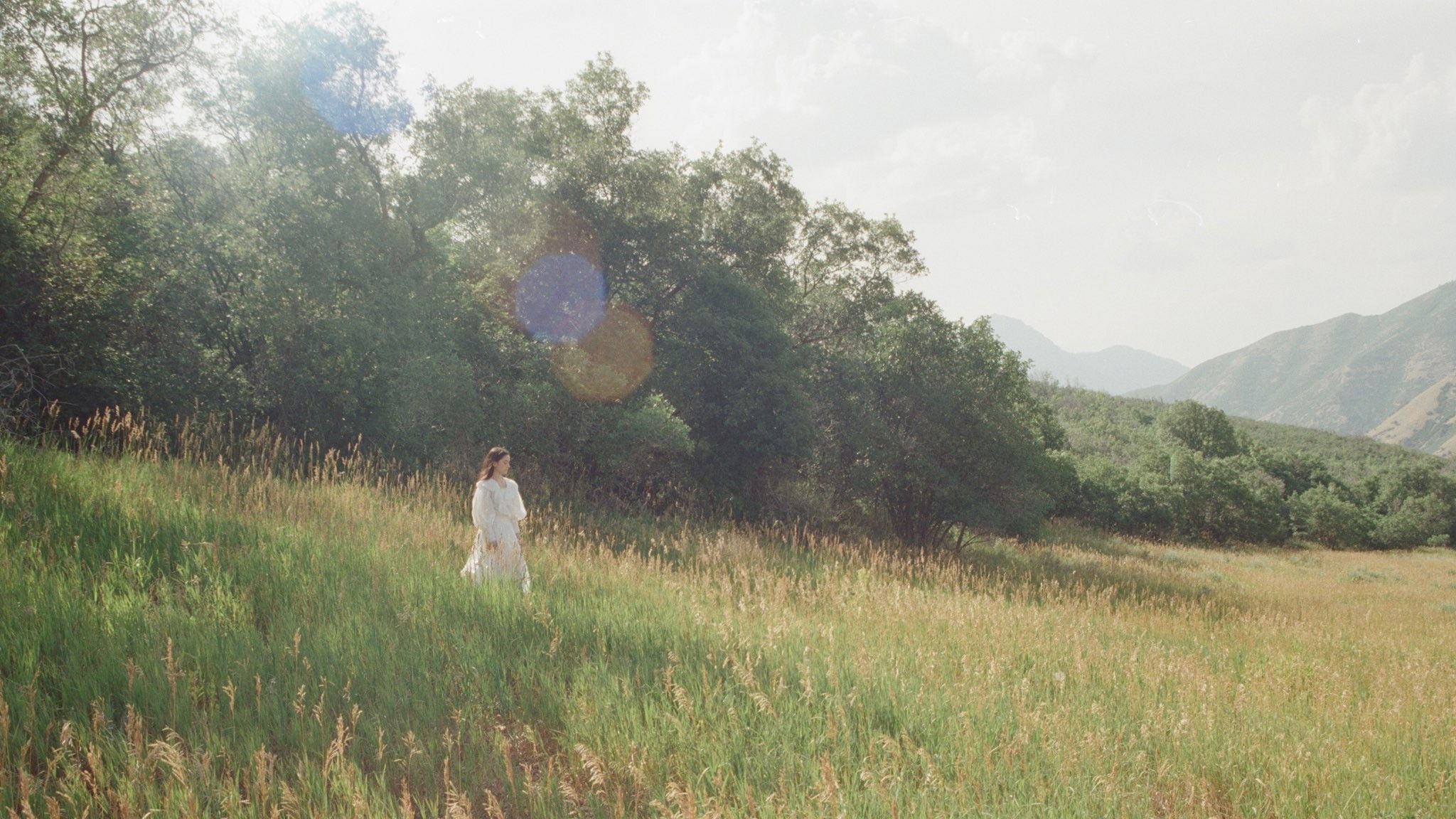 Backdrop for The Meadow