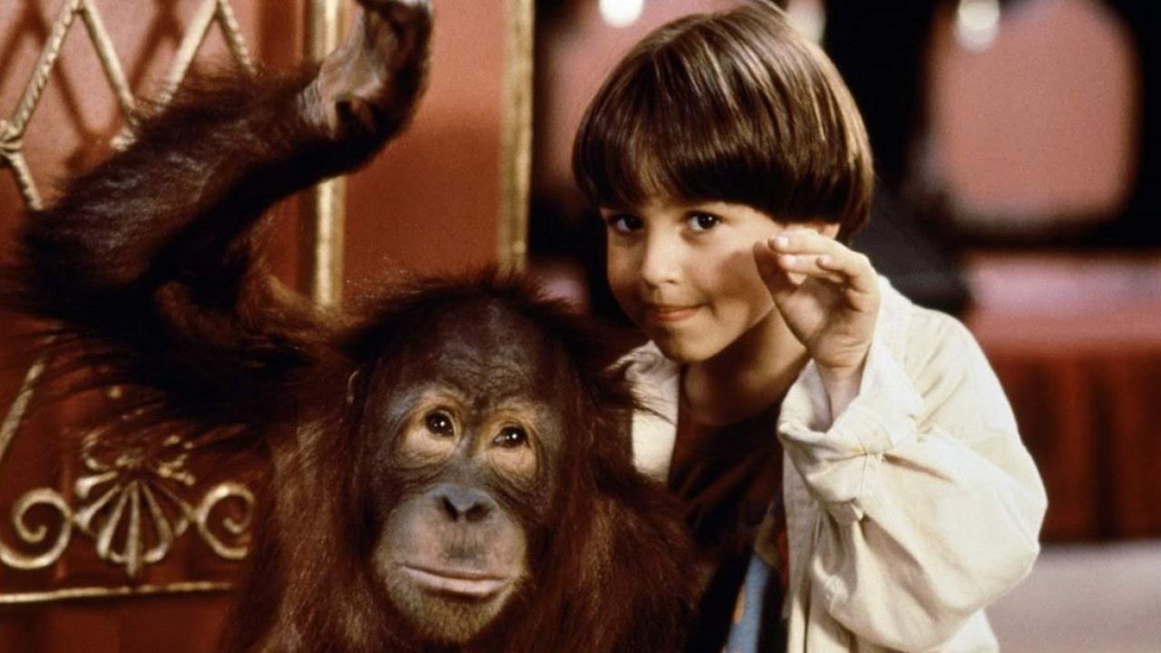 Backdrop for Dunston Checks In