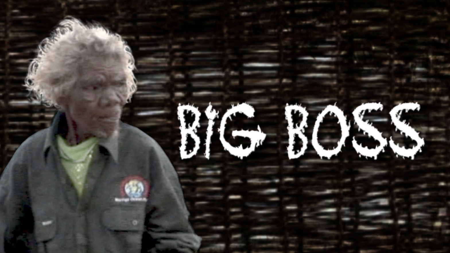 Backdrop for Big Boss