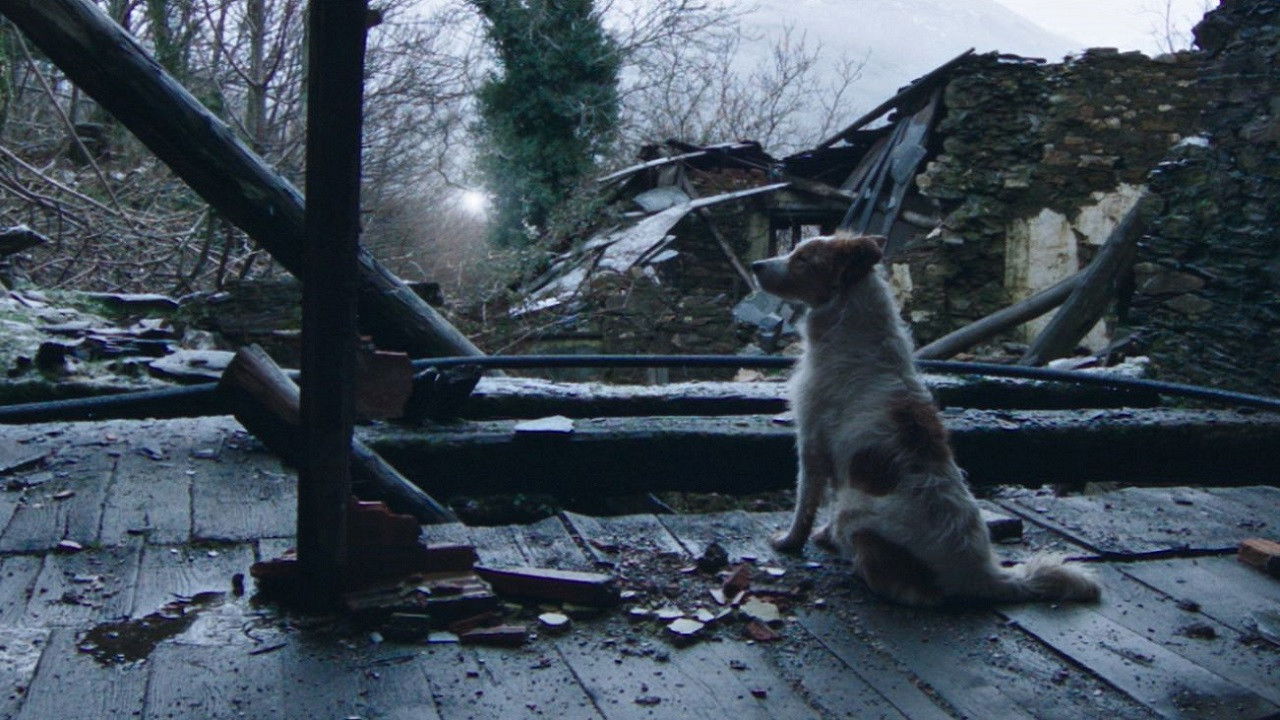 Backdrop for Thirty Souls