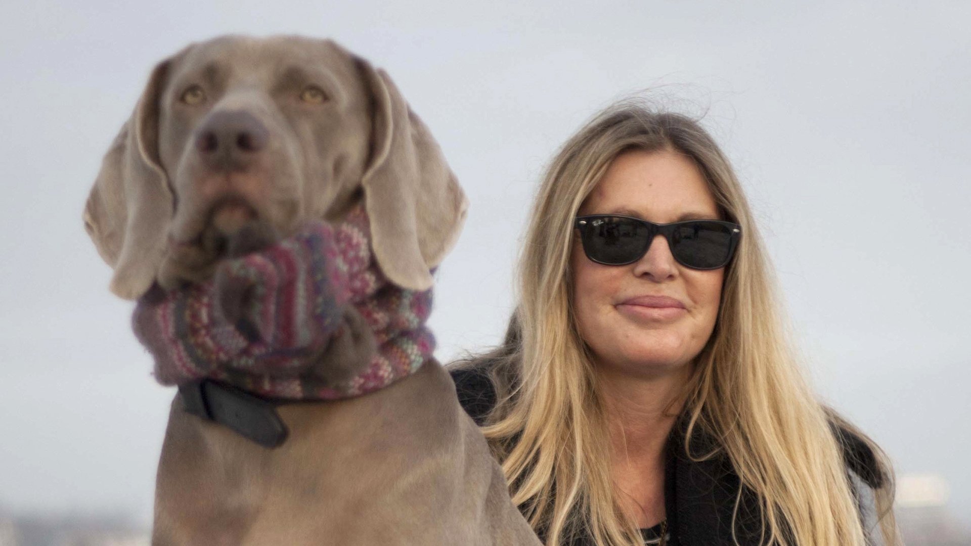 Backdrop for Walking with Dogs: A Wonderland Special