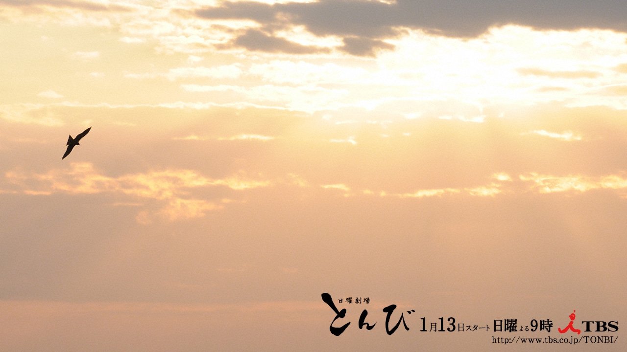 Backdrop for Black Kite