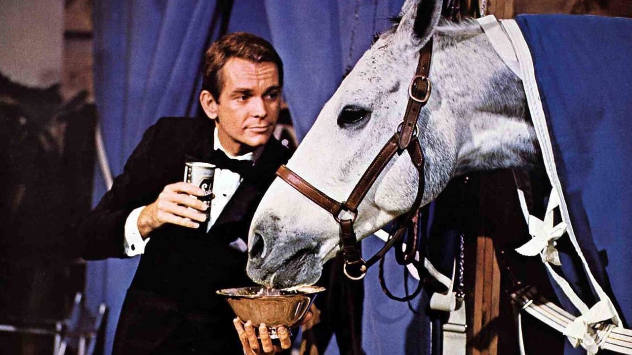 Backdrop for The Horse in the Gray Flannel Suit