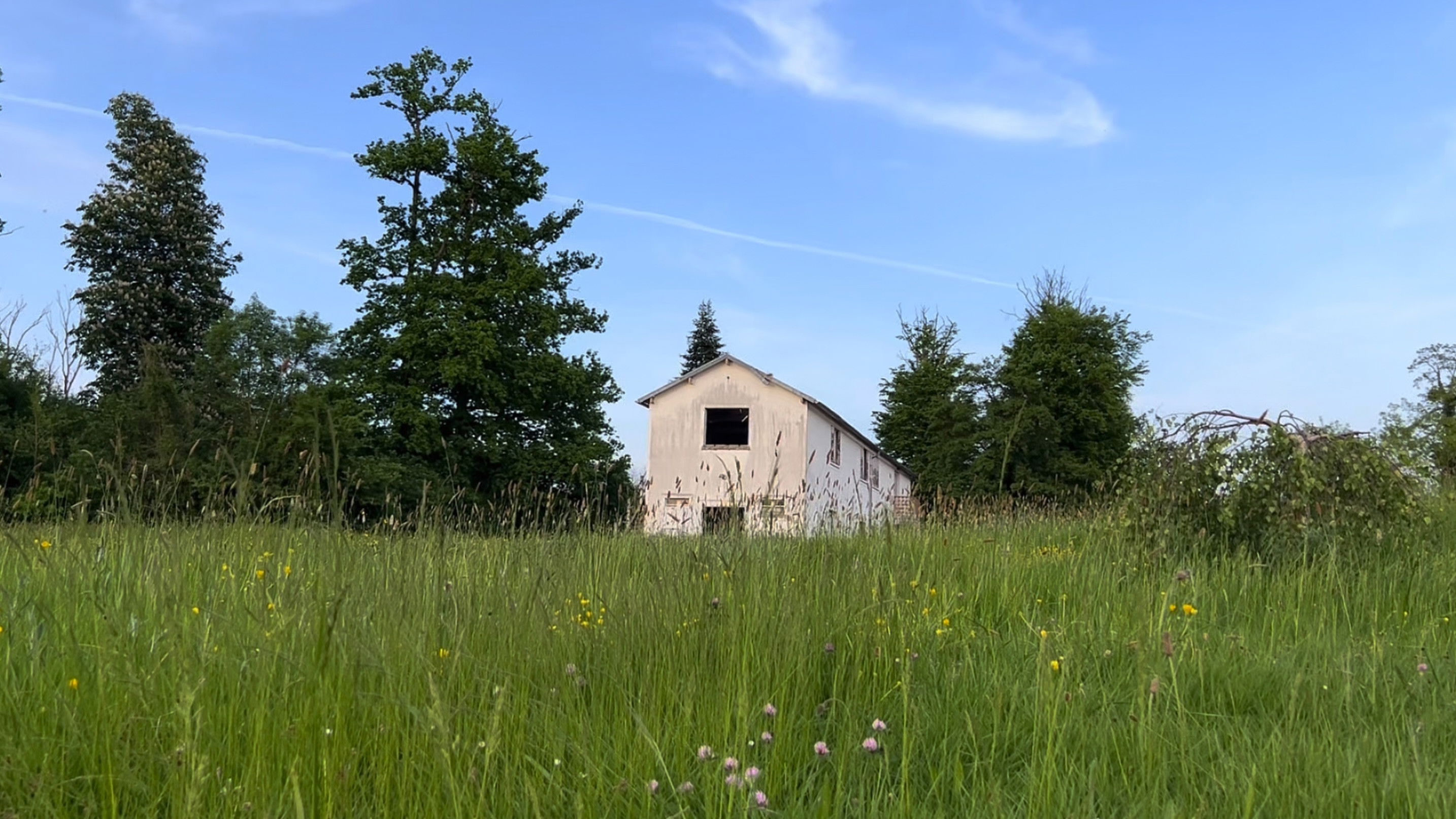 Backdrop for Mumble 3/4 - A la recherche de Morin