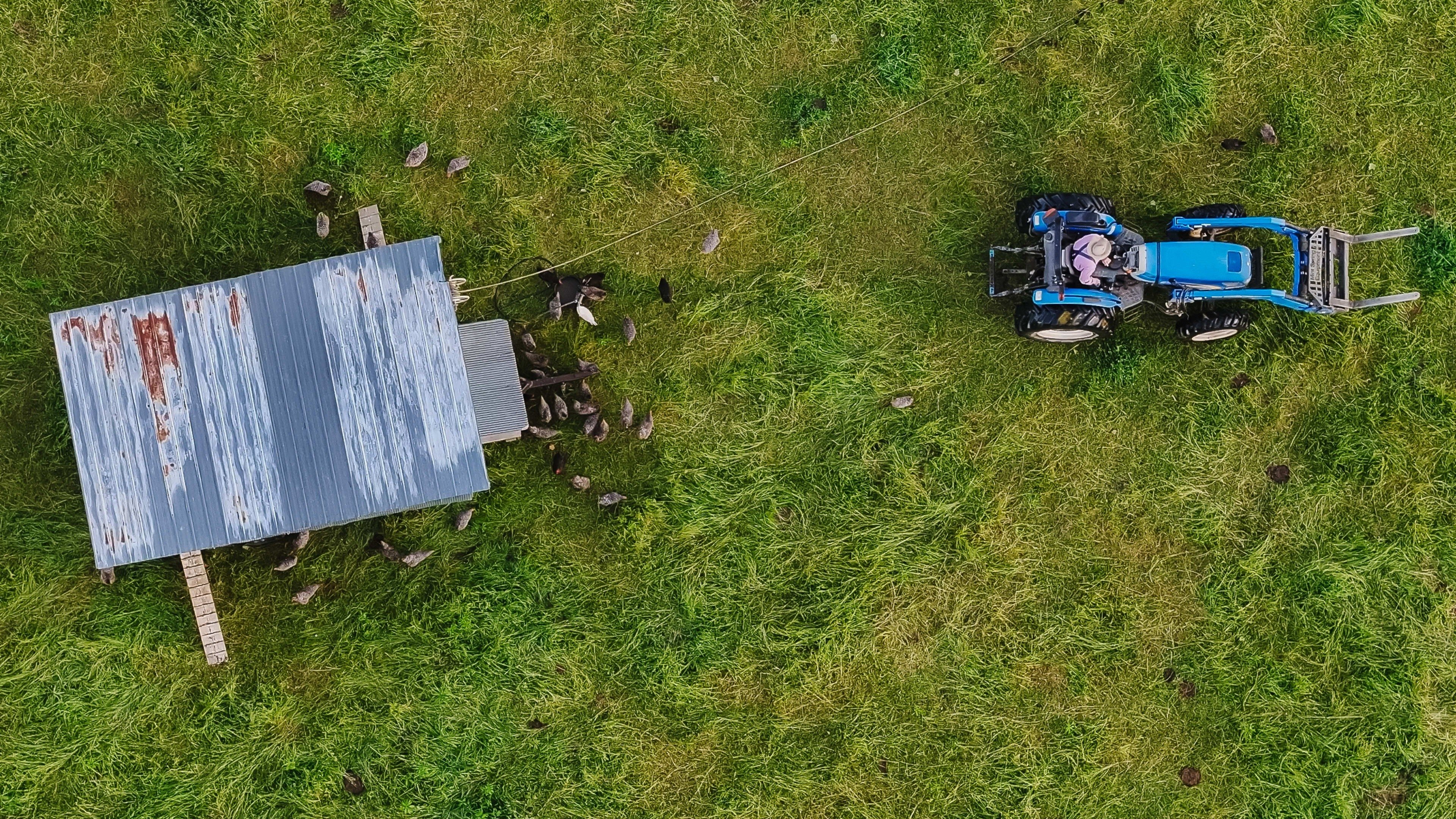 Backdrop for The Lunatic Farmer