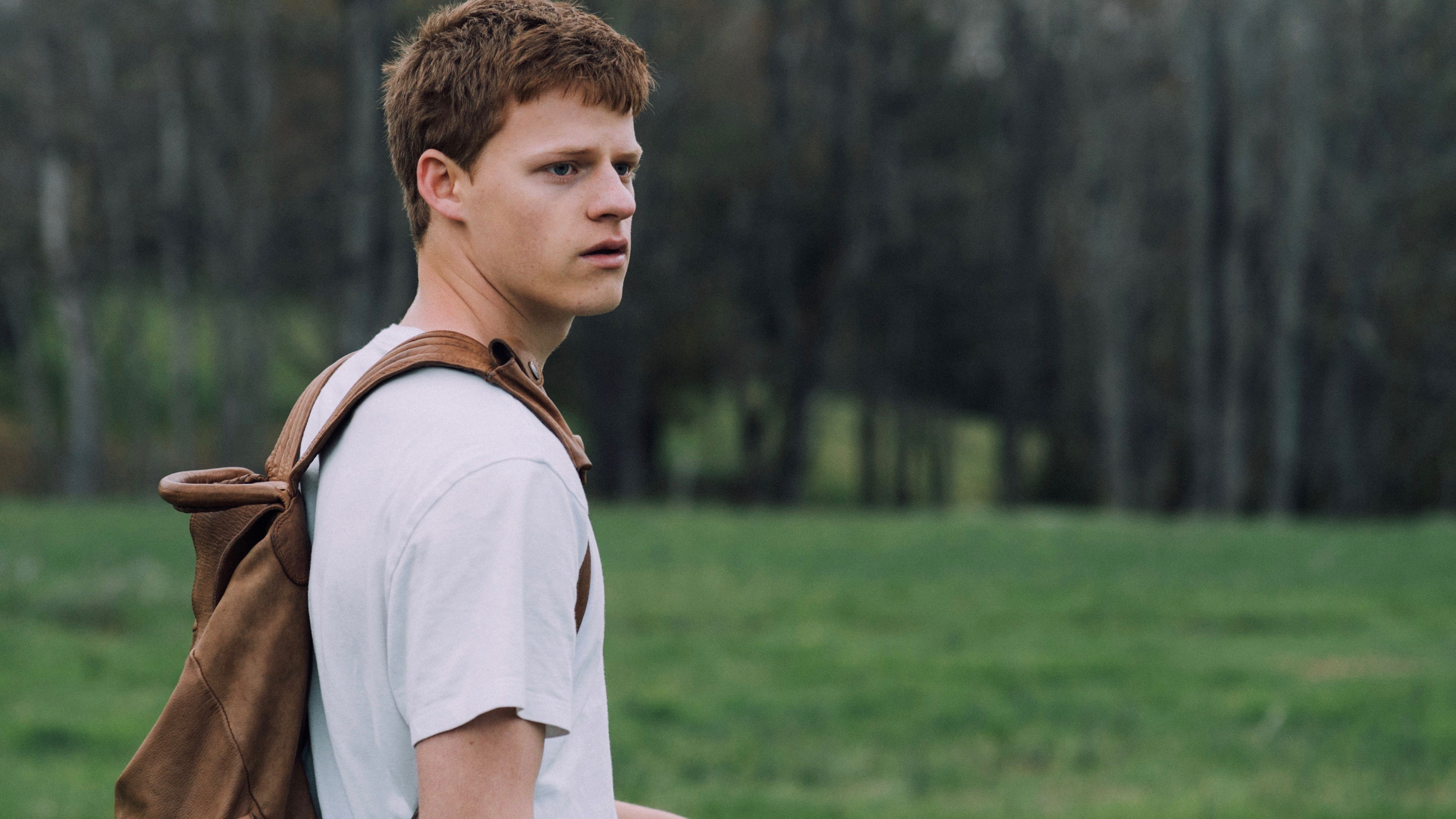 Backdrop for Pigeonhearts