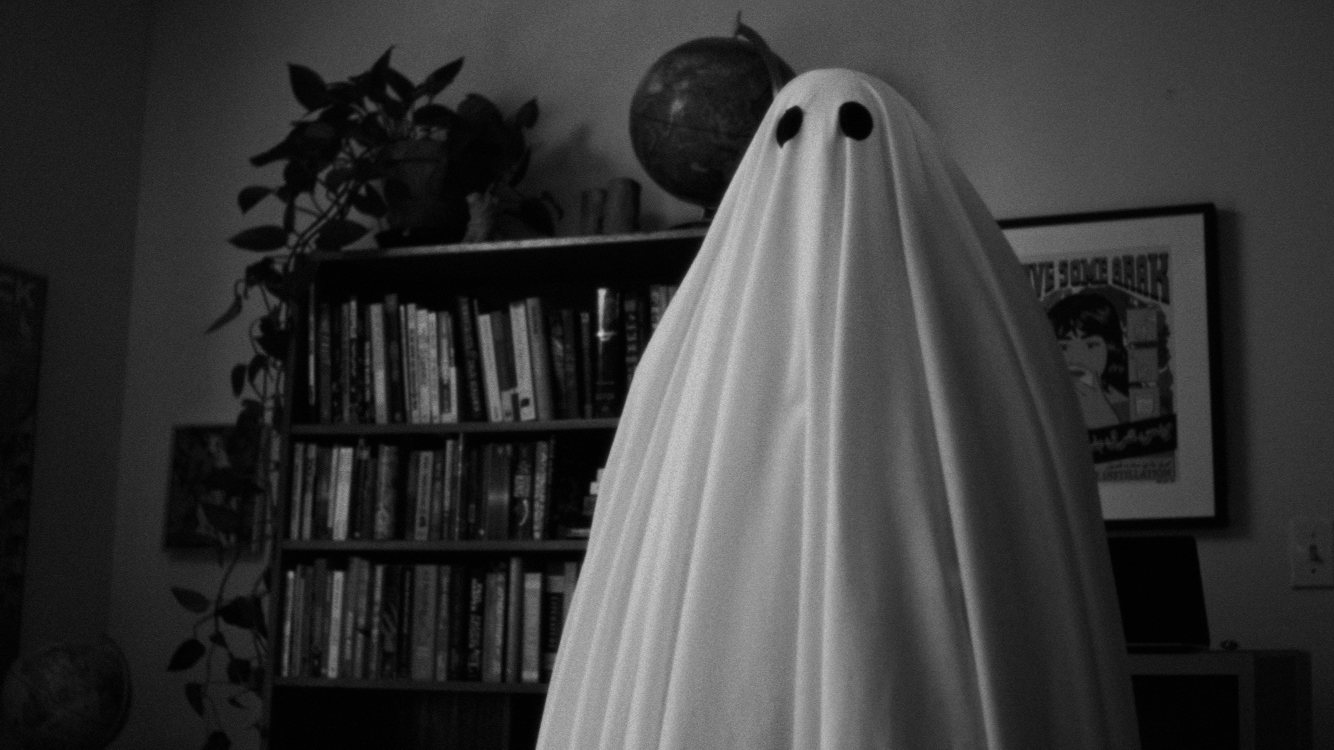 Backdrop for In Lieu of Flowers