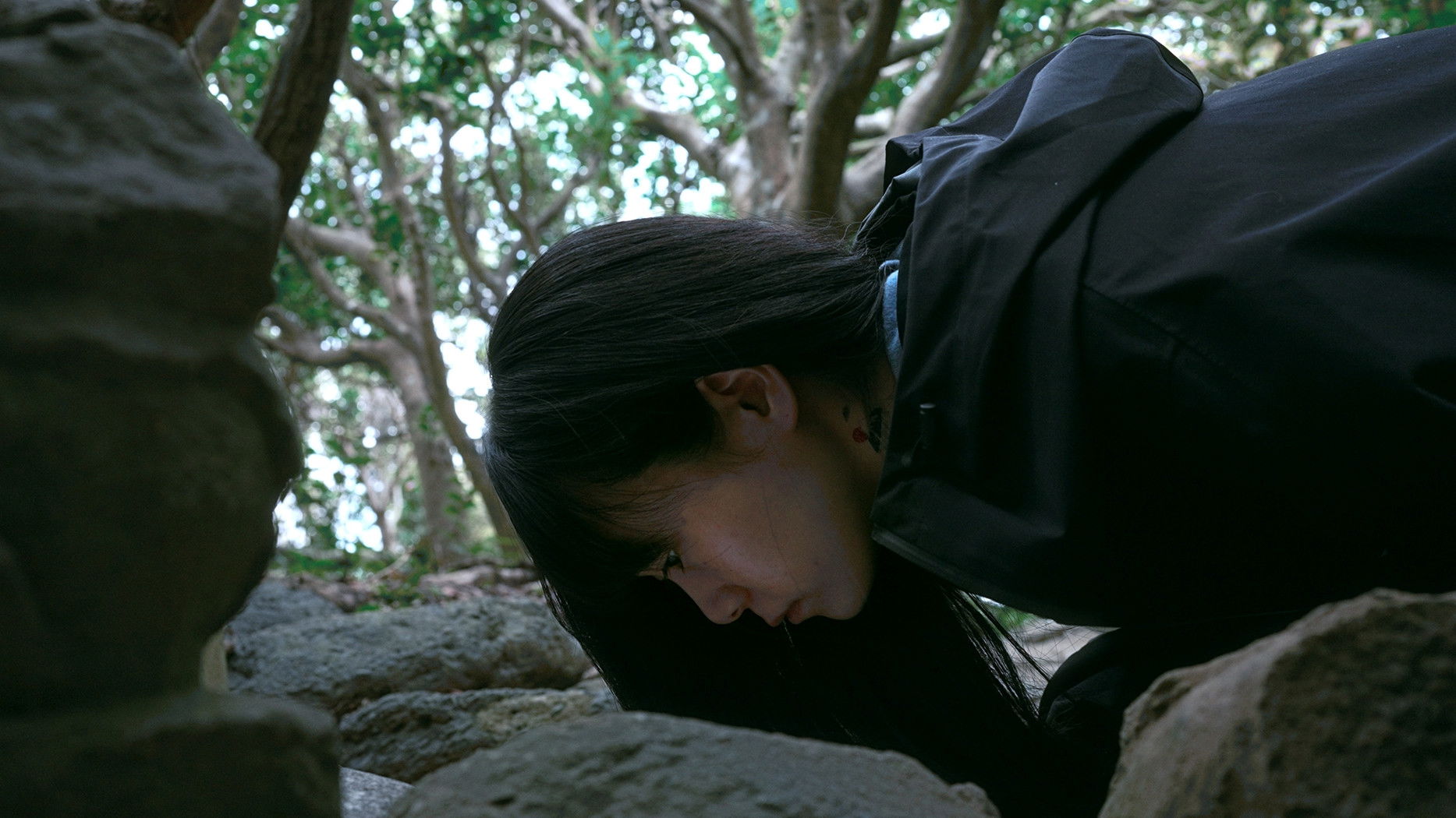 Backdrop for The Height of the Coconut Trees