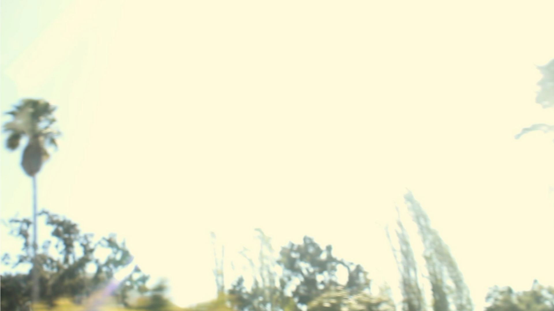 Backdrop for The Backseat Killer