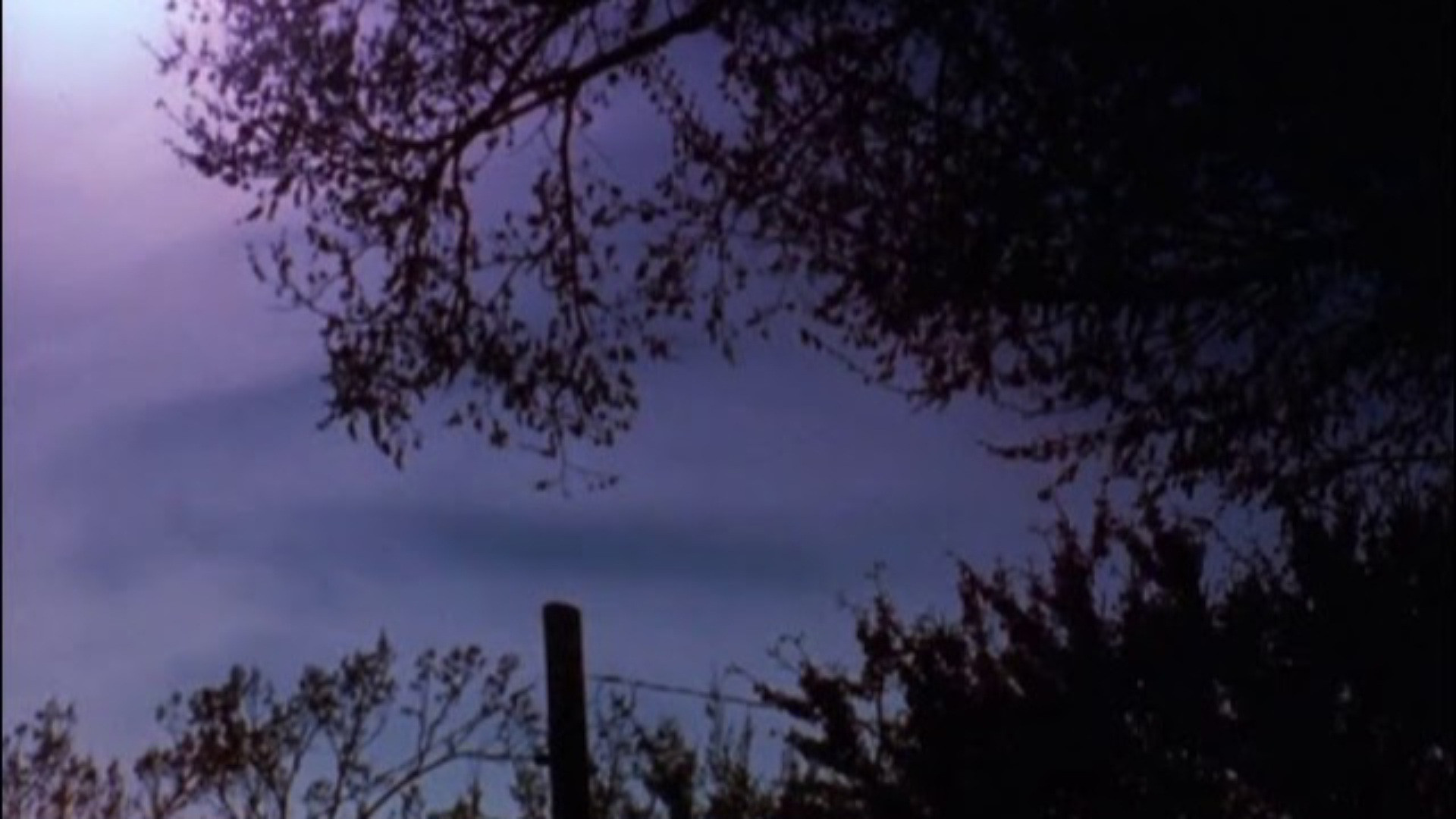 Backdrop for The Stars Are Beautiful