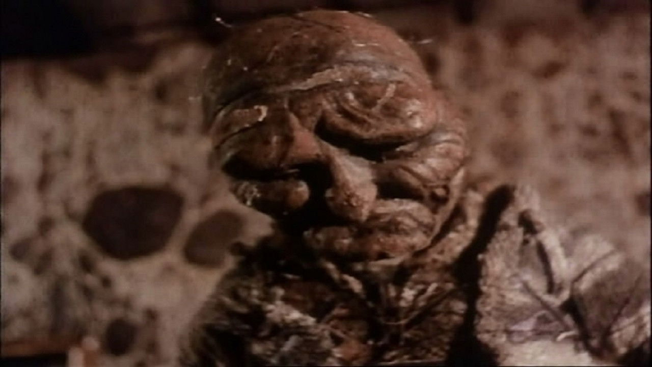 Backdrop for The Man in the Lower-Left Hand Corner of The Photograph