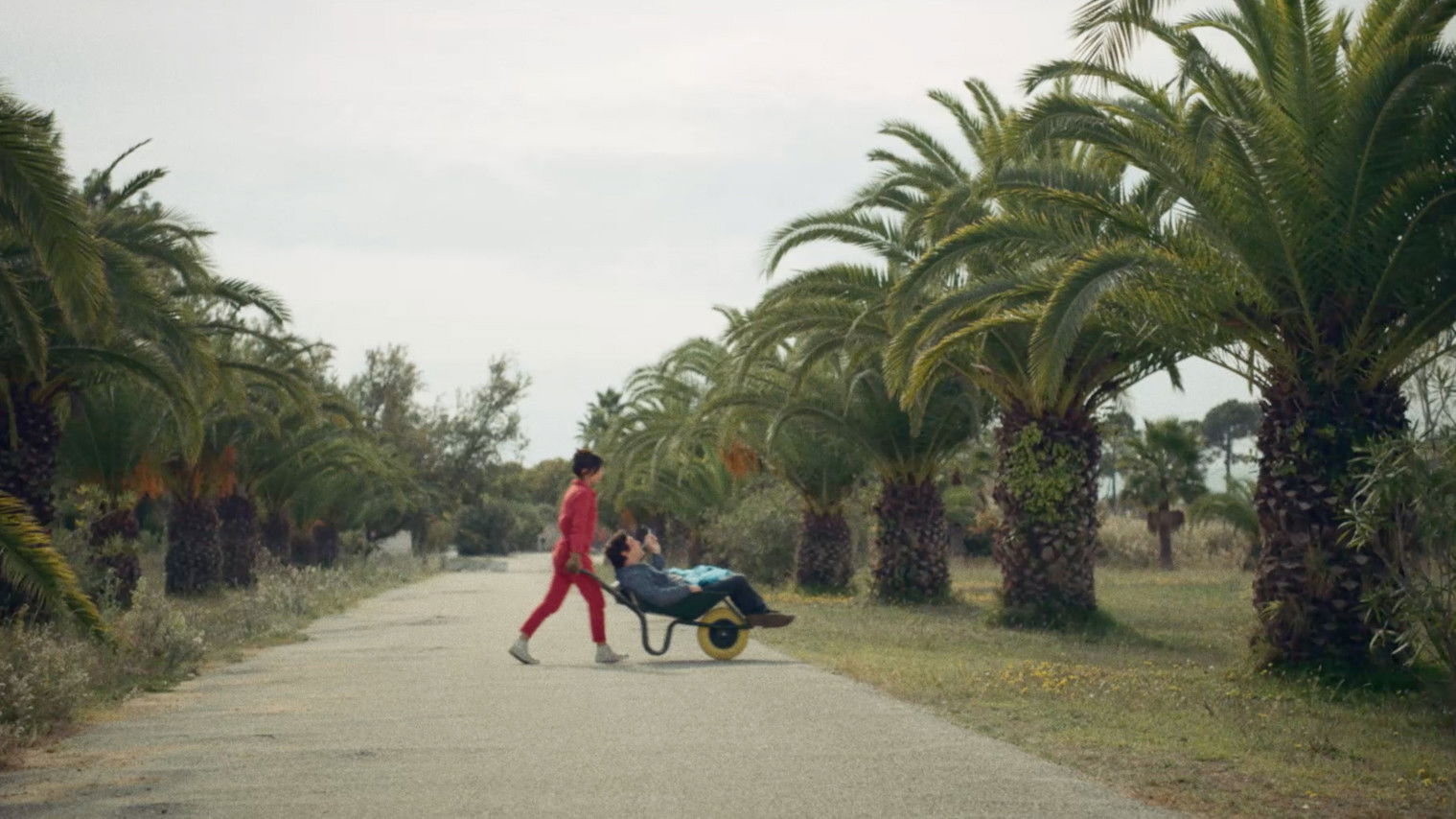 Backdrop for Flat Tired